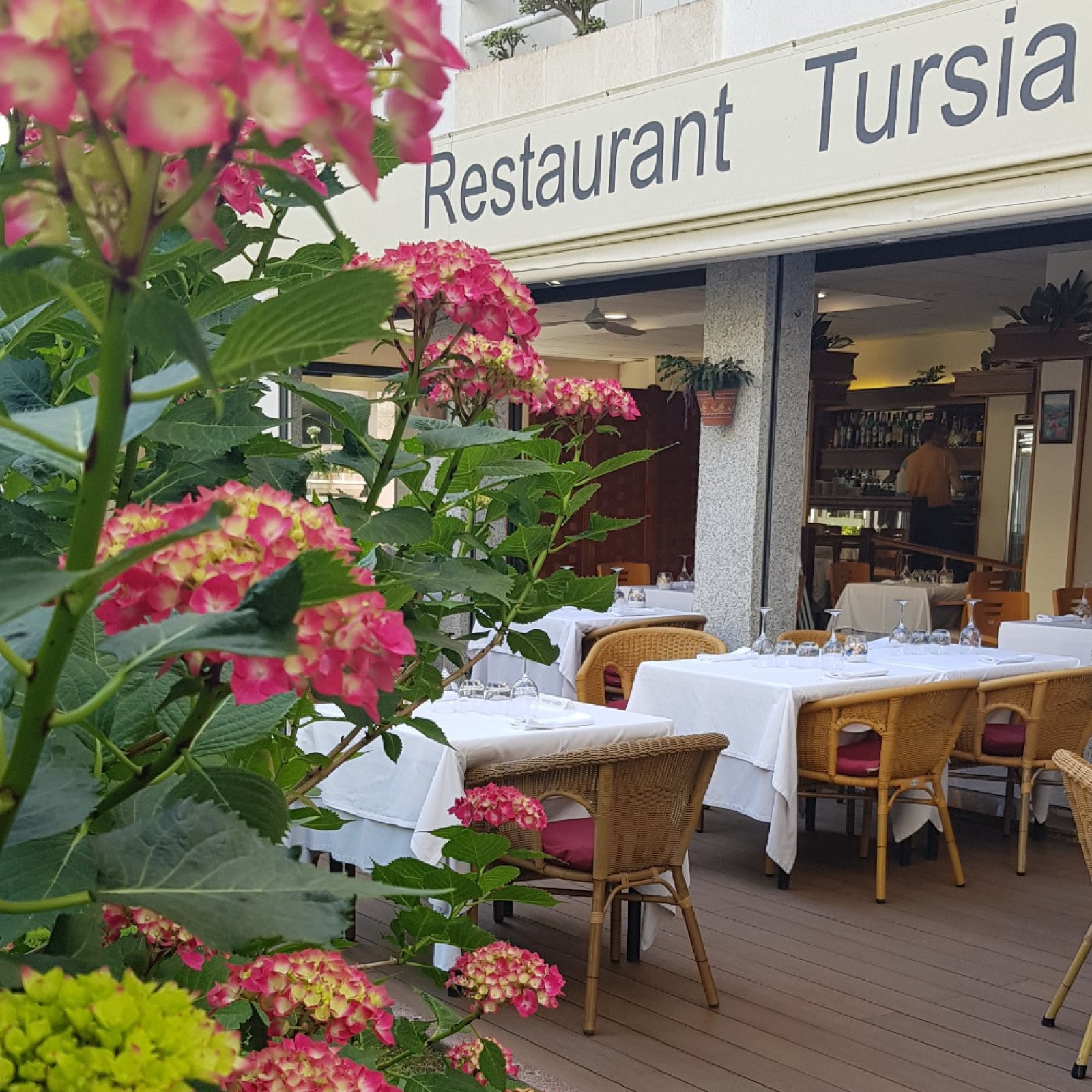 TURSIA