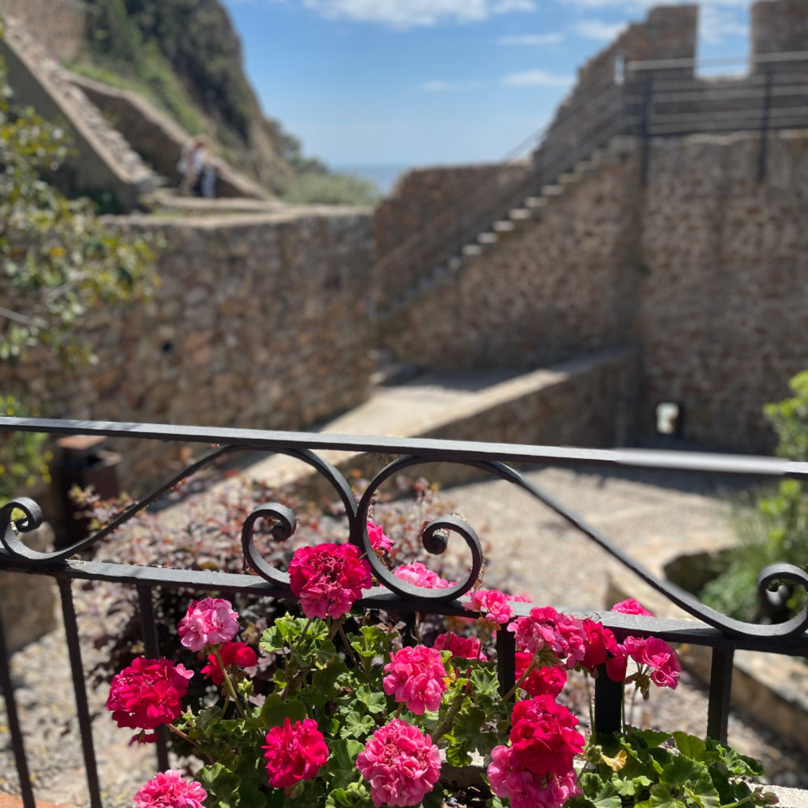 CASTELL VELL